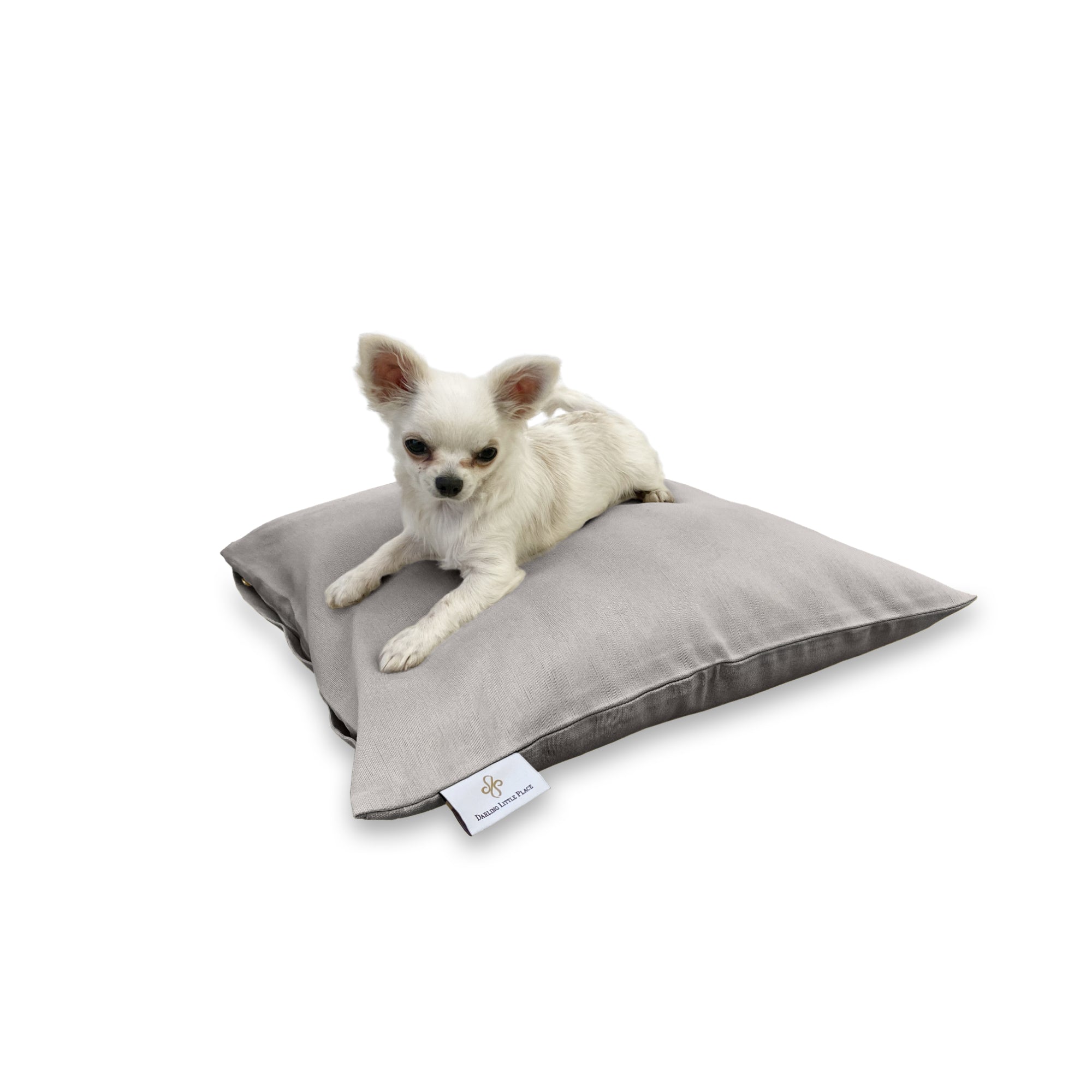 #design_silver-solid