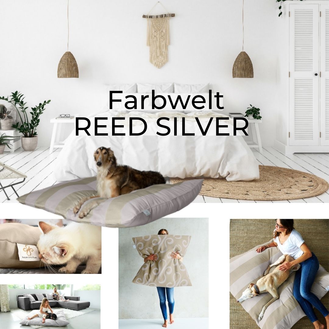 #design_reed-silver-stripes